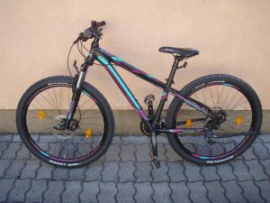Genesis Női Mountain bike Használt
